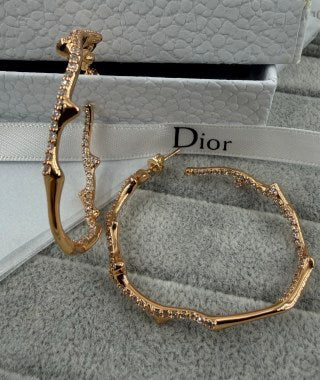 Dior Éclat Serpentine Hoop Earrings